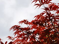 -北京市劳动人民文化宫