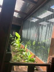 -花家怡园·宴会厅(簋街四合院总店)