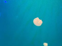 -福州罗源湾海洋世界旅游区