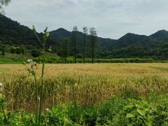 -东钱湖旅游度假区