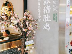 -洪氏嗨捞·猪肚鸡火锅(阳光天地店)