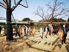 -杭州六谷生态休闲农庄有限公司