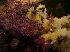 -THE BARMAN HOUSE(调酒师南门店)