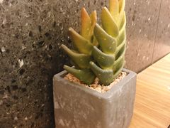 -鲜芋仙(时尚天河店)