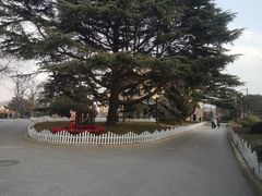 -青岛德国总督楼旧址博物馆