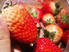 -7mall美食潮地标