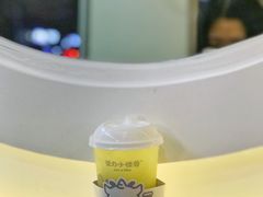 山泉油柑（绿屁屁）-茶力的小怪兽(梅林卓悦汇店)