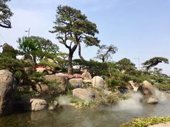 -罗红摄影艺术馆