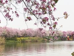-海珠湖公园