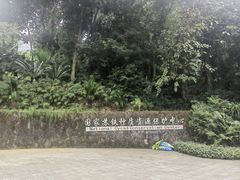 -深圳仙湖植物园