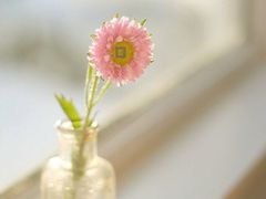 -万达影城(银兴菲林店)