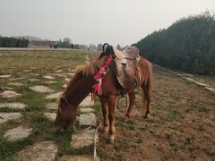 -汉景帝阳陵博物院