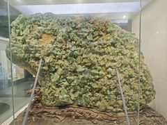 -安徽省地质博物馆