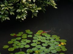 -中国茶叶博物馆(双峰馆区)