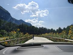 -重庆睡佛山森林公园