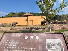 -沈阳森林动物园