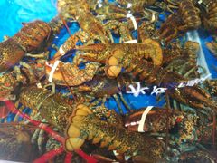 -盒马鲜生(莱蒙都会店)