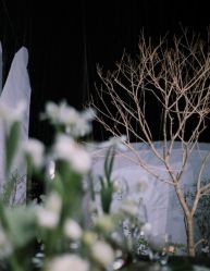 -琥珀婚礼策划AMBER WEDDING