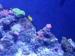 -成都浩海立方海洋公园