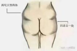 -香薇妮丝女子减肥院