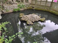 -成田山新胜寺