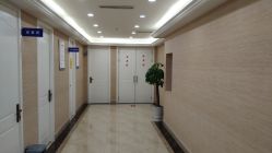 -碧莲盛·不剃发植发