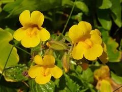 -养云安缦吧THE BAR