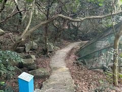 -石排湾郊野公园