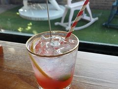 -柴犬高等学院·狗咖·柴犬售卖·宠物训练