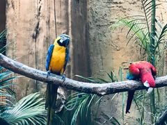 -杭州开元森泊度假乐园