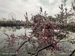 -无锡蠡湖国家湿地公园-蠡园
