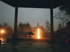 -天目湖涵田半山温泉