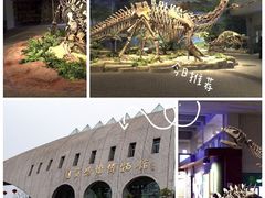 -自贡恐龙博物馆