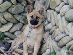 -楠溪江风景名胜区