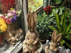 -FEI FEI FLOWER鲜花店·气球派对·宝宝宴布置(虹口德必运动Loft店)