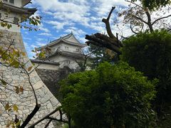 -名古屋城