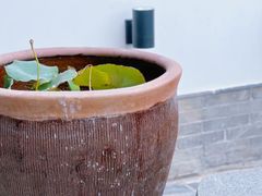 -瓦舍茶馆(聚源路店)