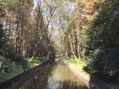 -上海滨江森林公园