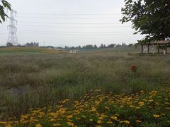 -紫颐香薰山谷景区