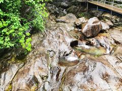 -天门沟九州驿站树上汤泉