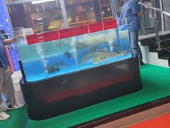 -明本湛江鸡•海鲜小厨(陈家祠店)
