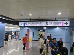 -大龙山(地铁站)