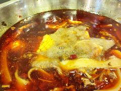 -金鼎雪山牦牛杂火锅(理县总店)