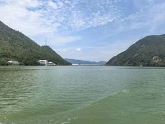 -芦茨金富饭庄·25年老字号·专做稻草鸡