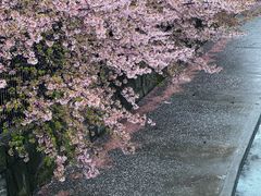-京都御所