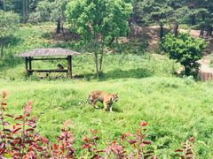 -沈阳森林动物园