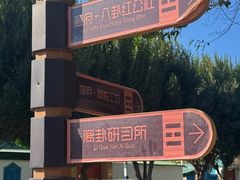 -特克斯八卦城