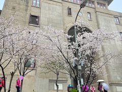 -武汉大学-樱园