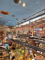 -卡通尼·Safari非洲探索乐园·生日会(金桥国际商业广场店)