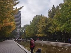 -玲珑塔公园
